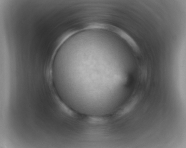X0000114430852200910231232