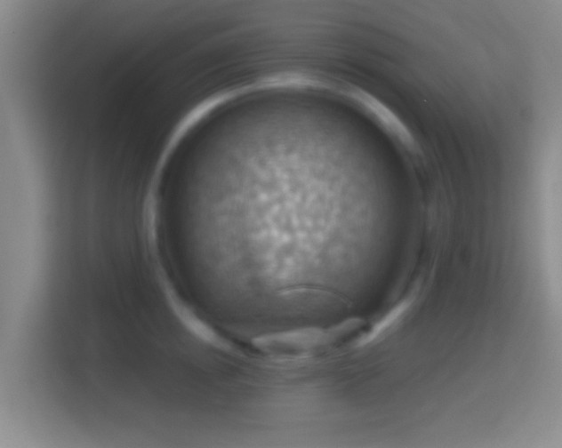 X0000114430854200910231232
