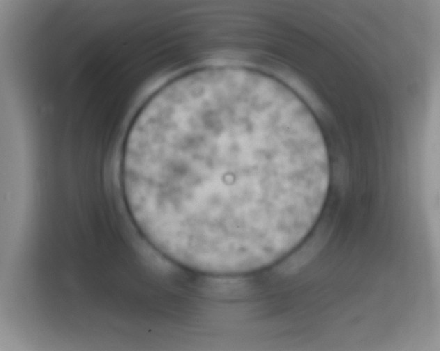 X0000114430856200910231232