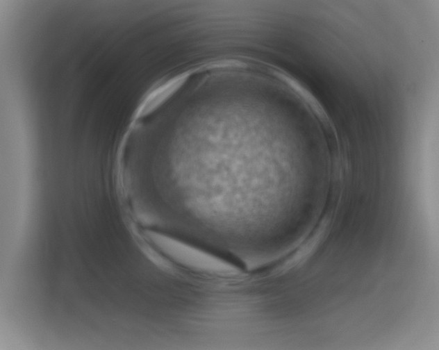 X0000114430858200910231232