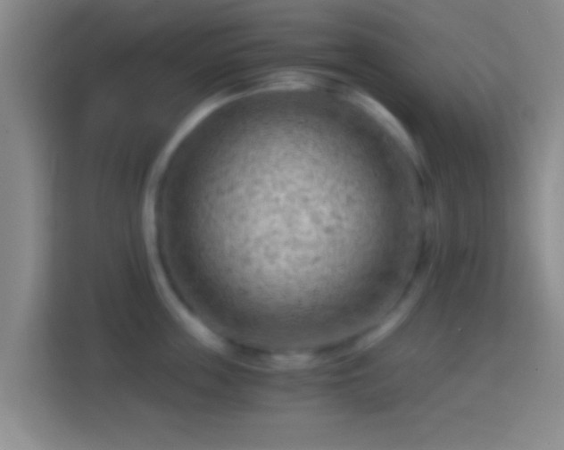 X0000114430859200910231232