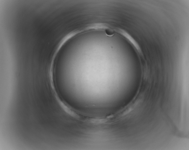 X0000114430861200910231232