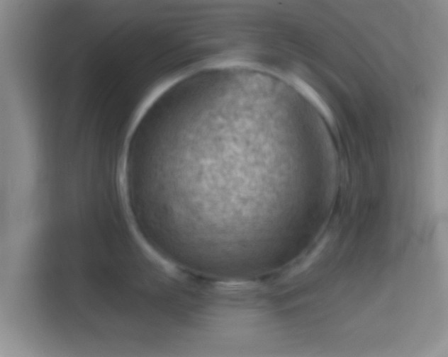 X0000114430863200910231232