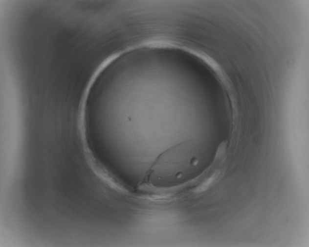 X0000114430864200910231232