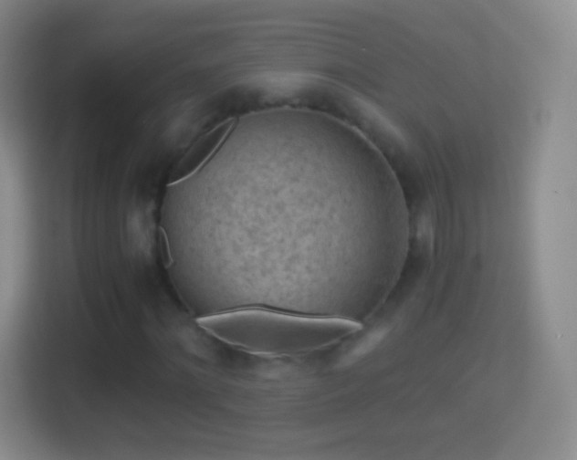 X0000114430868200910231232
