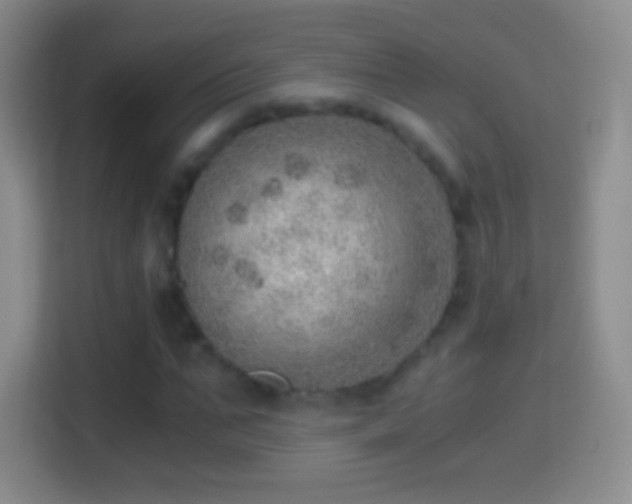 X0000114430871200910231232