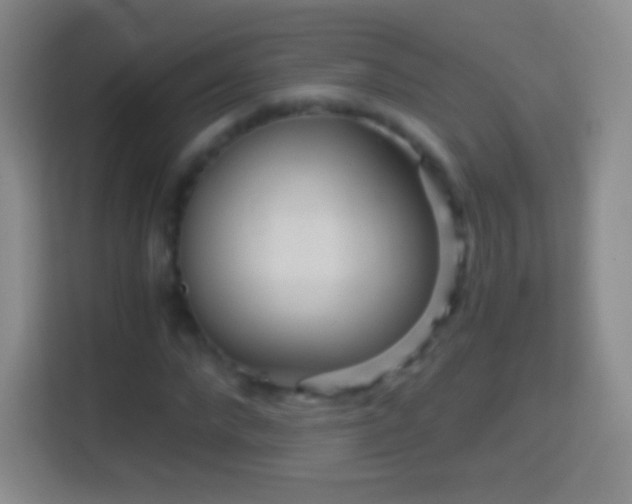 X0000114430872200910231232