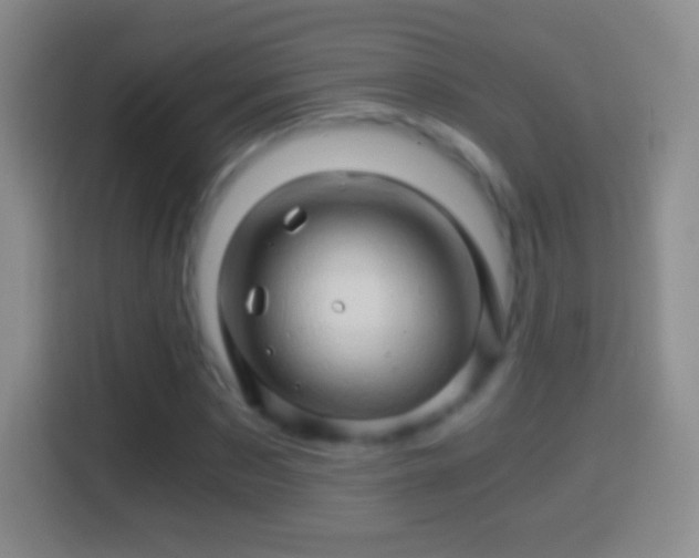 X0000114430873200910231232