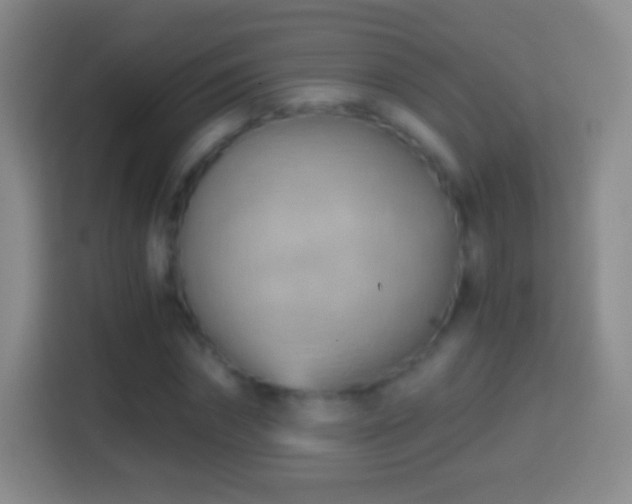 X0000114430874200910231232