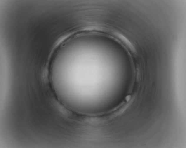 X0000114430876200910231231