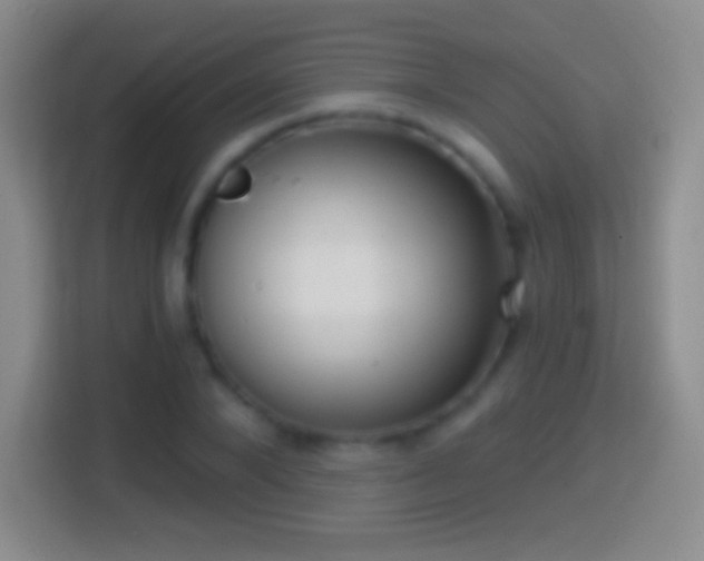 X0000114430880200910231231