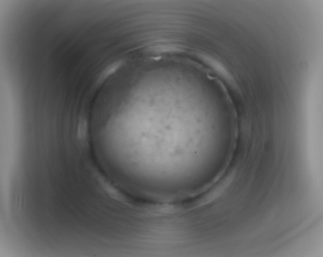 X0000114430881200910231231