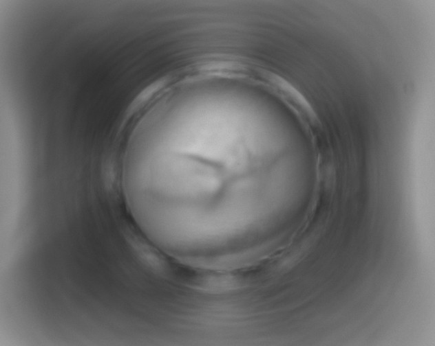 X0000114430882200910231231