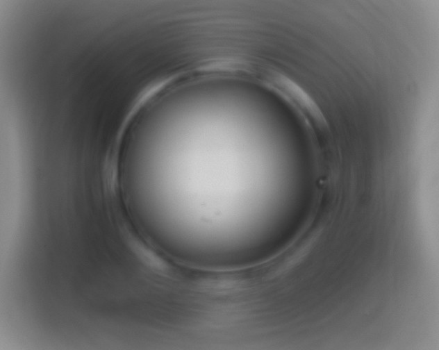 X0000114430884200910231231