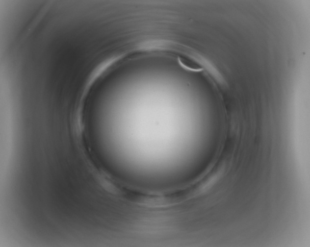 X0000114430885200910231231
