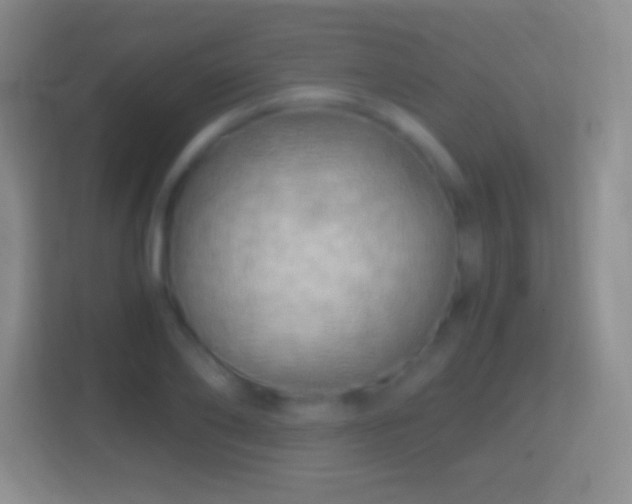 X0000114430886200910231231