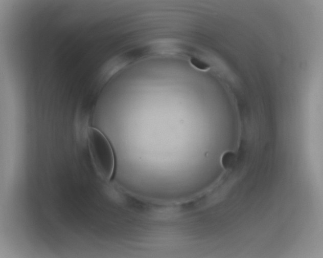 X0000114430889200910231231