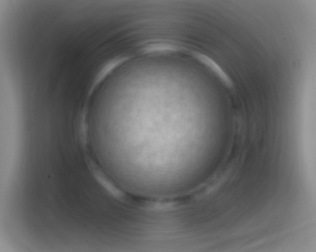X0000114430890200910231231