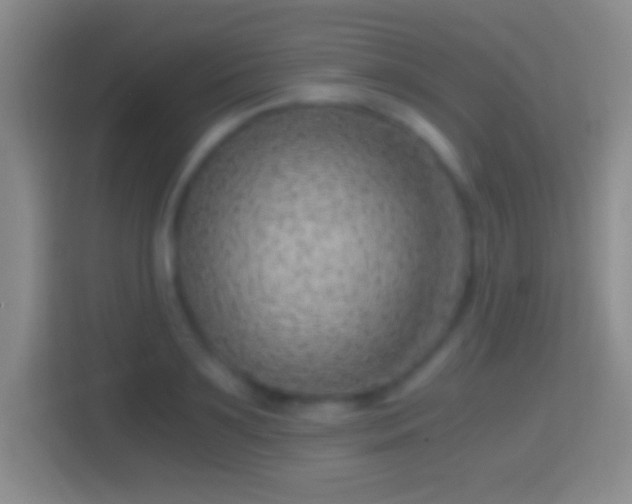 X0000114430891200910231231