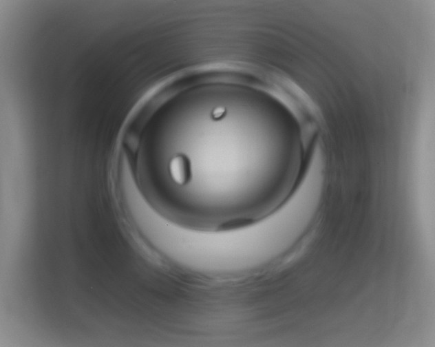 X0000114430892200910231231