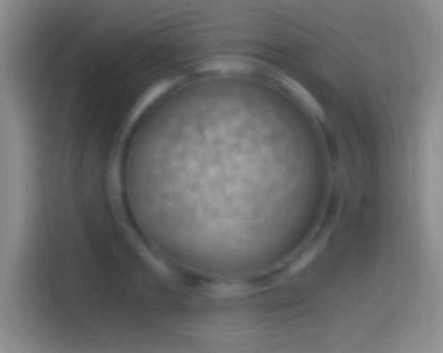 X0000114430893200910231231