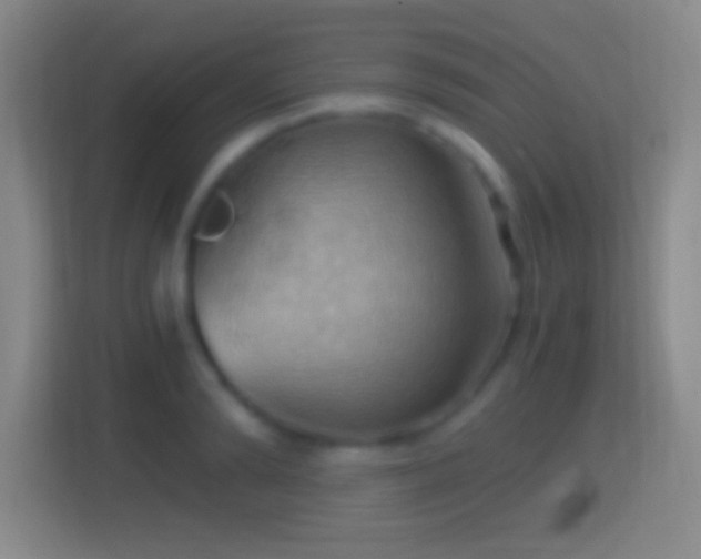 X0000114430894200910231231