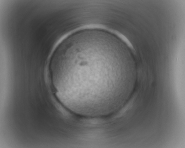 X0000114430895200910231231
