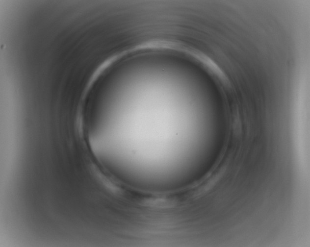 X0000114430896200910231231