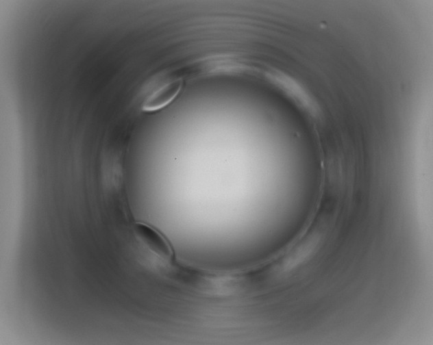 X0000114430897200910231231