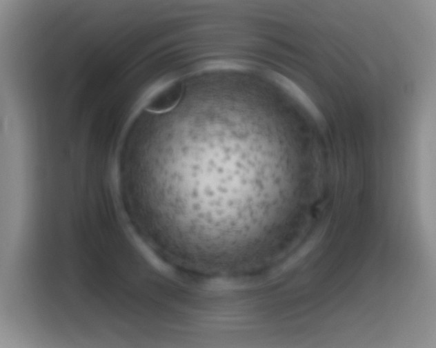 X0000114430898200910231231