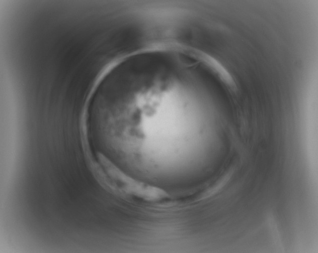 X0000114430899200910231231