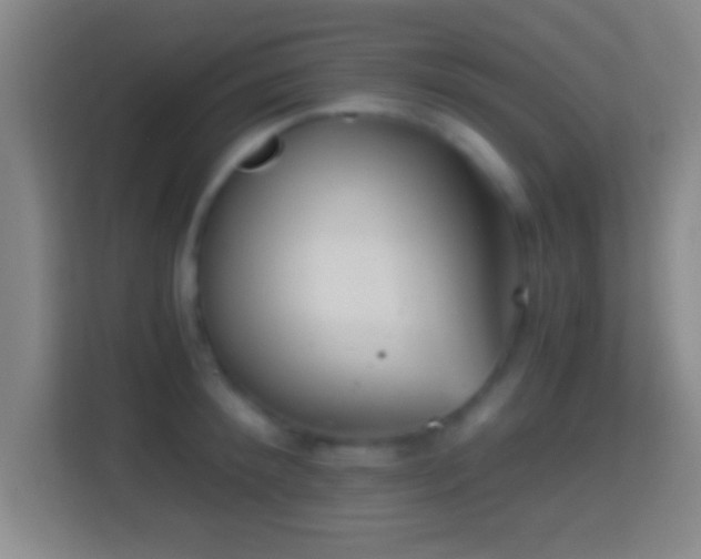 X0000114430900200910231231