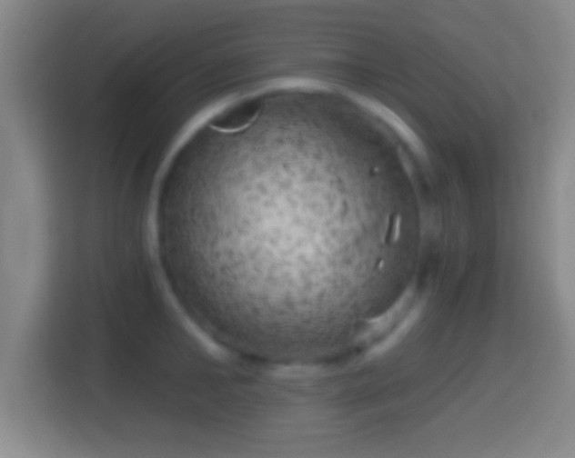 X0000114430902200910231231