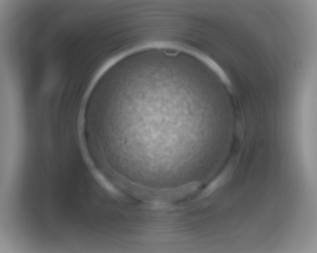X0000114430903200910231231