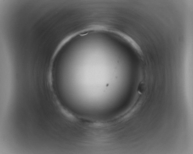 X0000114430904200910231231