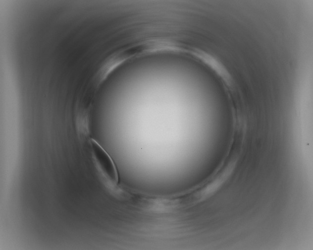 X0000114430905200910231231