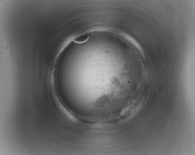 X0000114430906200910231231
