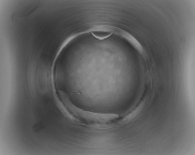 X0000114430907200910231231