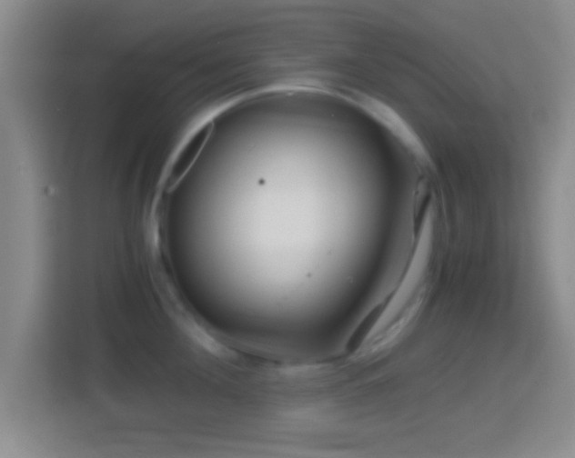 X0000114430908200910231231
