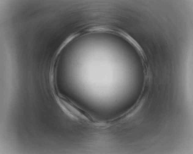 X0000114430909200910231231