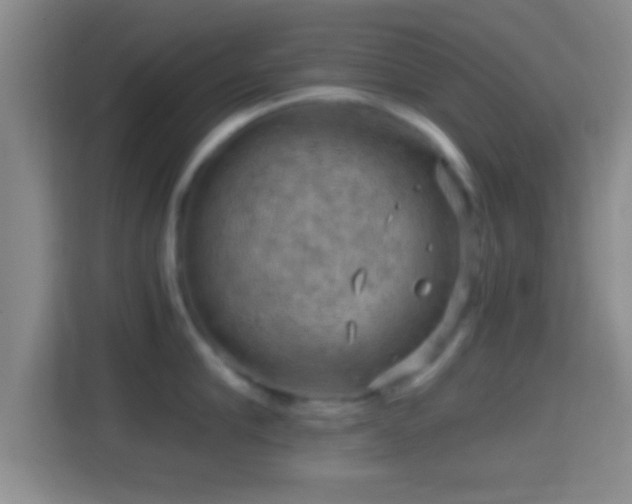 X0000114430910200910231231