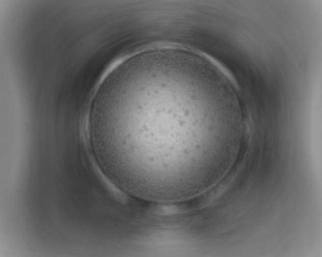 X0000114430911200910231231