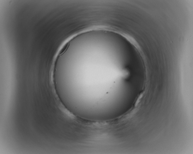 X0000114430912200910231231