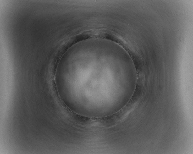 X0000114430913200910231230