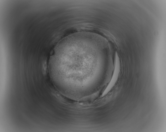 X0000114430915200910231230