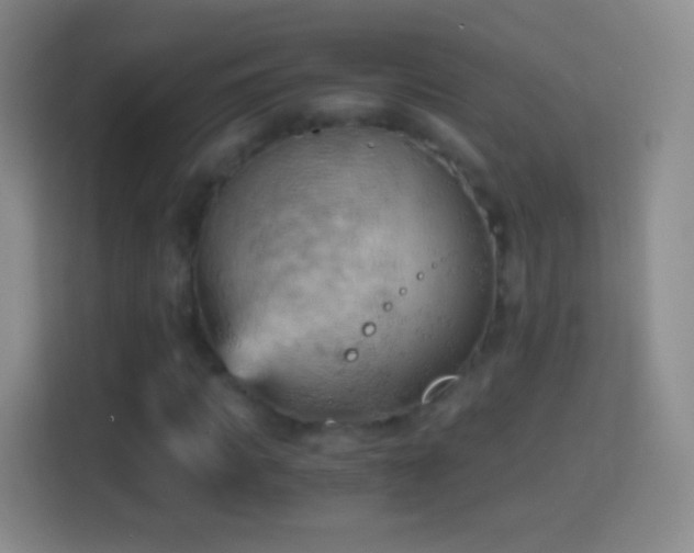 X0000114430917200910231230