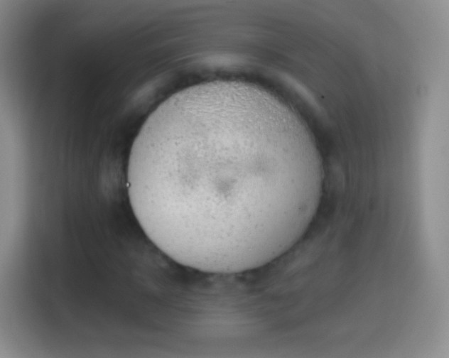 X0000114430918200910231230