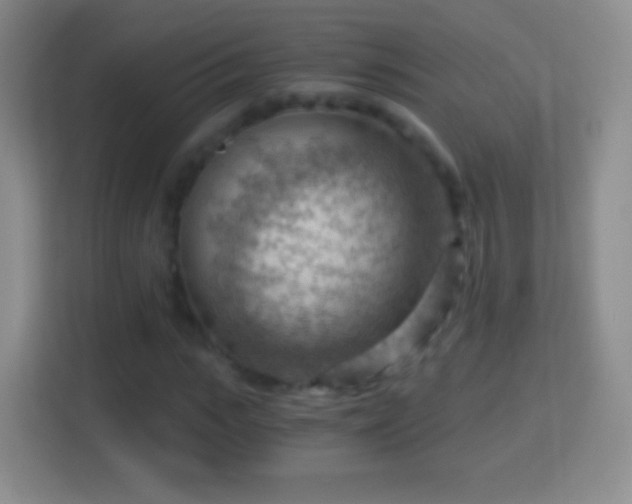 X0000114430919200910231230