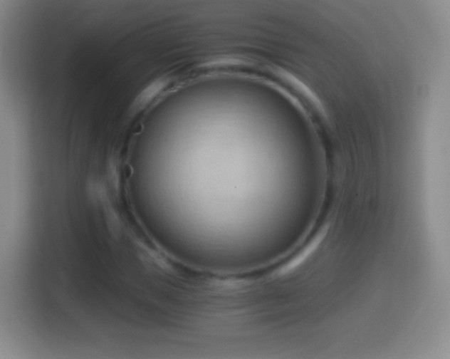 X0000114430921200910231230