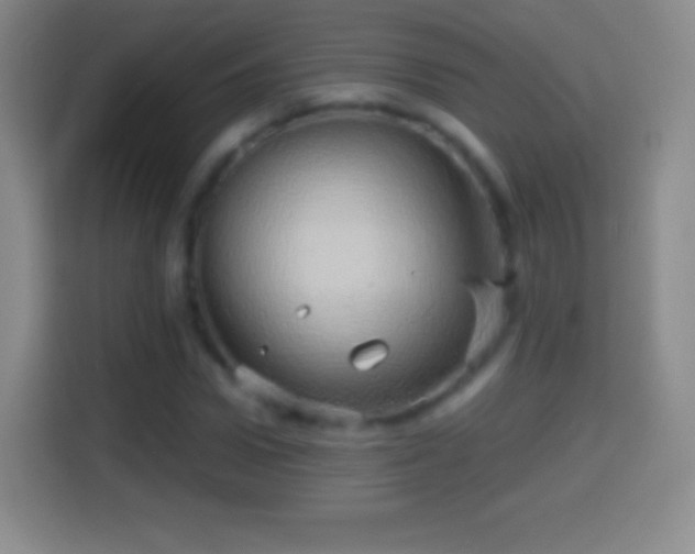 X0000114430922200910231231